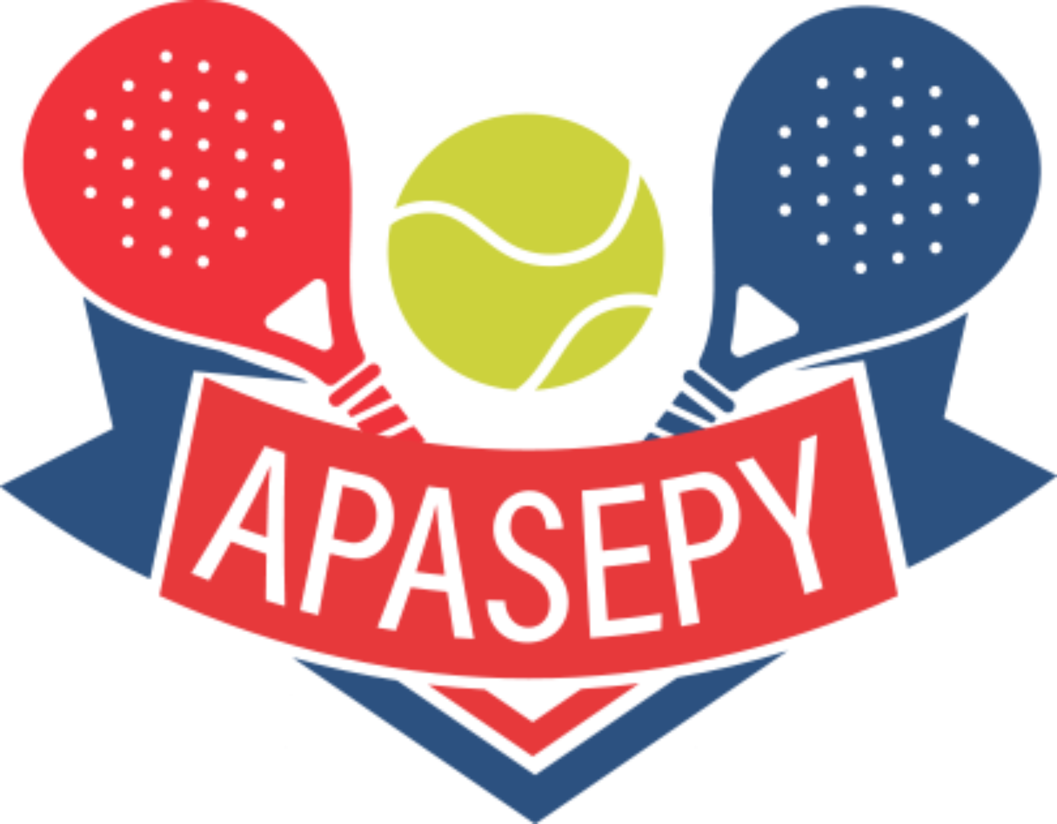 APASEPY.COM